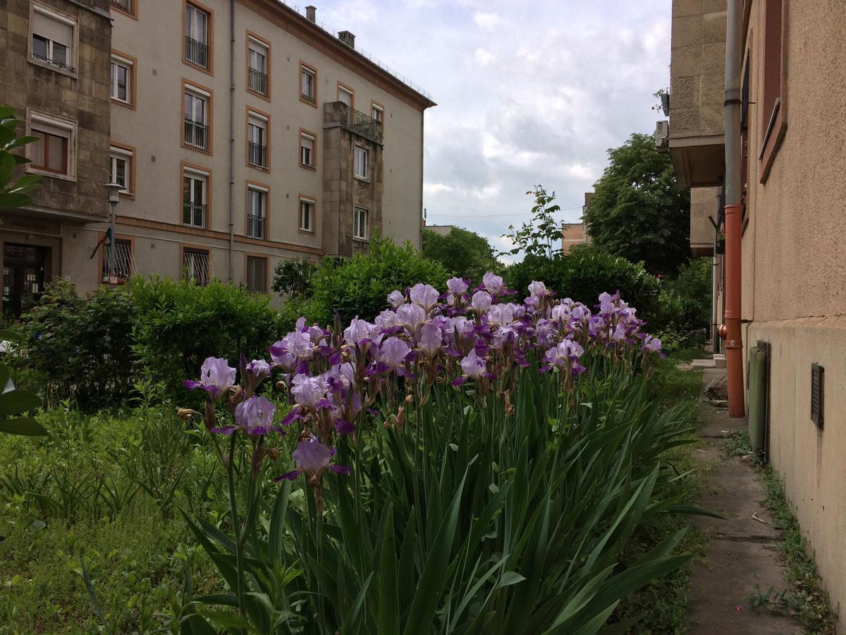 Irisz Apartman Budapest Eksteriør bilde